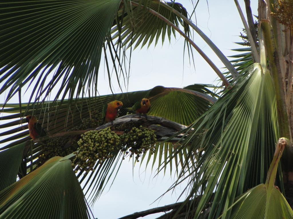 Hotel Pousada Arco Iris Barra de Santo Antônio Kültér fotó